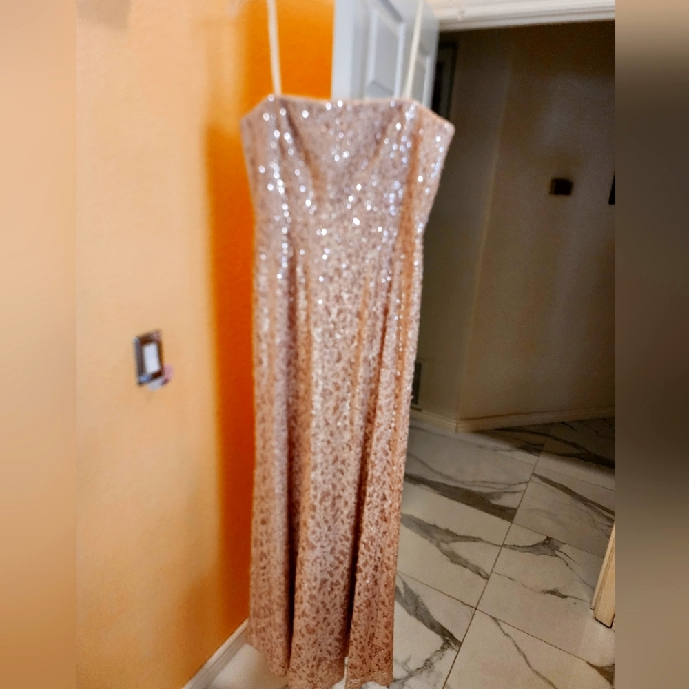 Bcbg strapless gown